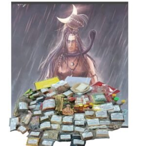Rojgar vraddhi ke liye pujan