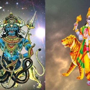 online rahu shanti pujan ke liye pandit ji