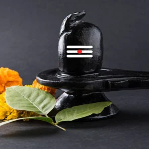 online mahamratunjay jap ke liye pandit jii